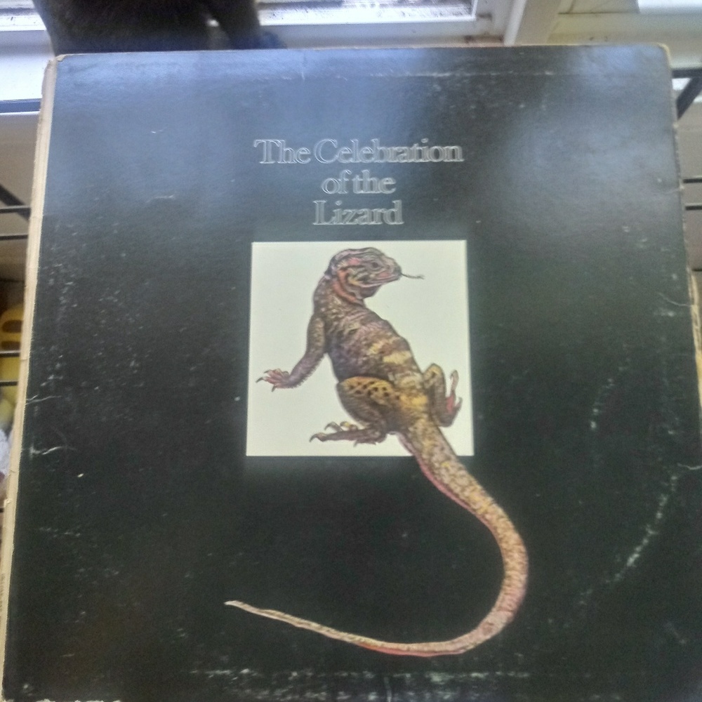 The Doors The Celebration of Life Vintage Record - Picture 2 of 3